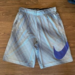 Nike Dri Fit Shorts